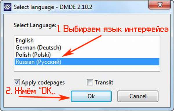 Выбираем предпочитаемый язык интерфейса в программе DMDE