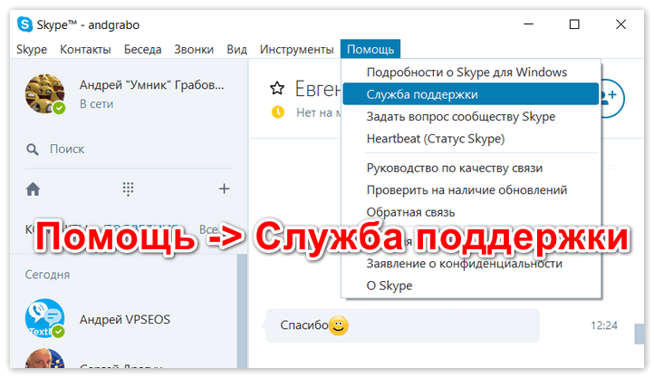 Служба поддержки через меню Skype