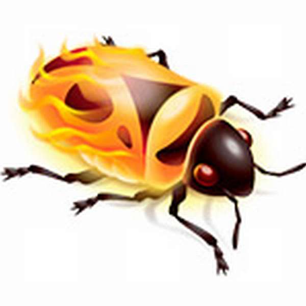 Firebug