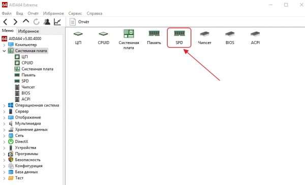 Пункт SPD в программе AIDA64