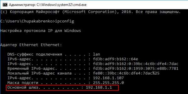 Консольная команда ipconfig