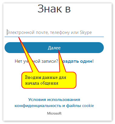 Ввод данных в Веб версию Скайпа