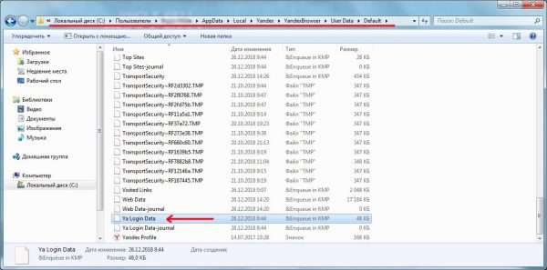 Системная папка с установленным «Яндекс.Браузером»