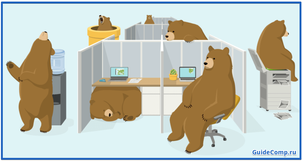 анонимайзер TunnelBear for yandex browser