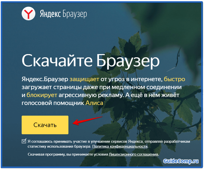 как настроить ленту дзен в яндекс браузере