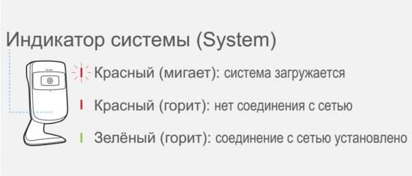 Контроль за состоянием подключения TP-LINK NC250 к сети