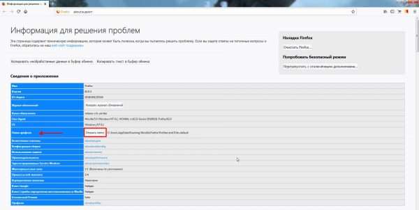 Окно настроек «Информация для решения проблем» в Mozilla Firefox
