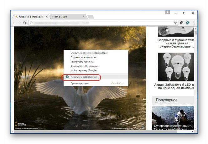 поиск картинки расширение для браузера